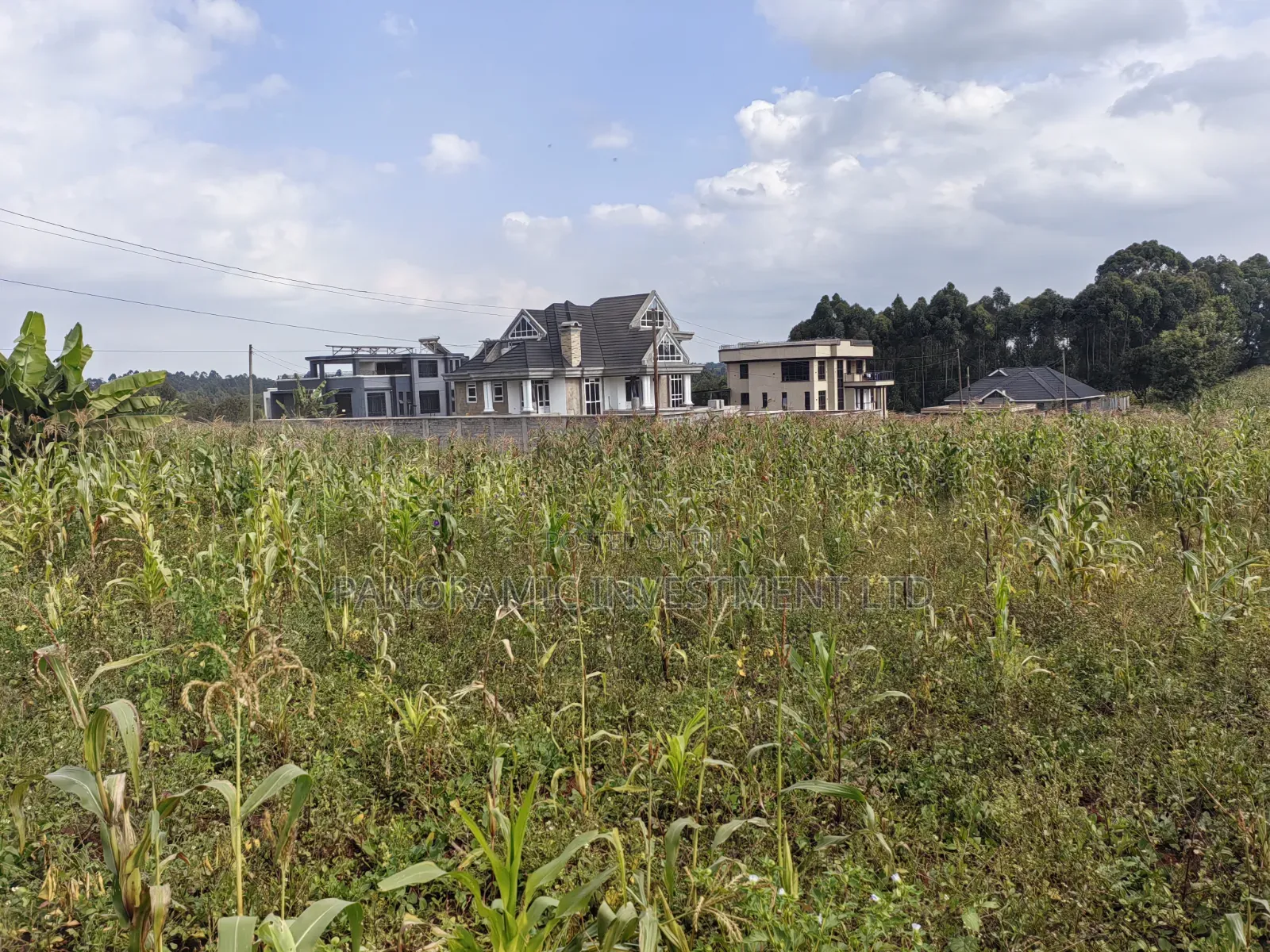75by100 Plot for Sale in Gikambura Kikuyu Kiambu County. in Kikuyu