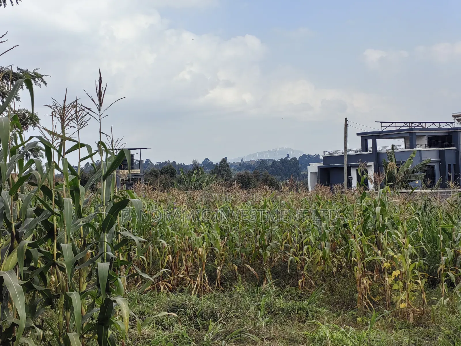 75by100 Plot for Sale in Gikambura Kikuyu Kiambu County. in Kikuyu