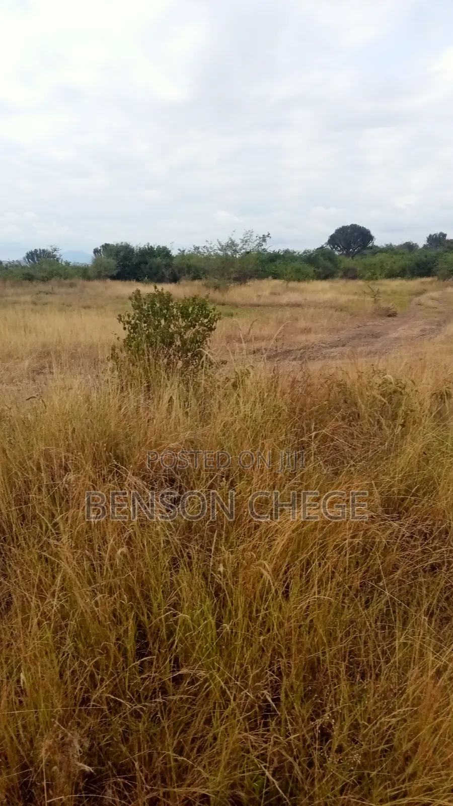 3 Acre Land for Sale in Maragua Ridge in Kambiti