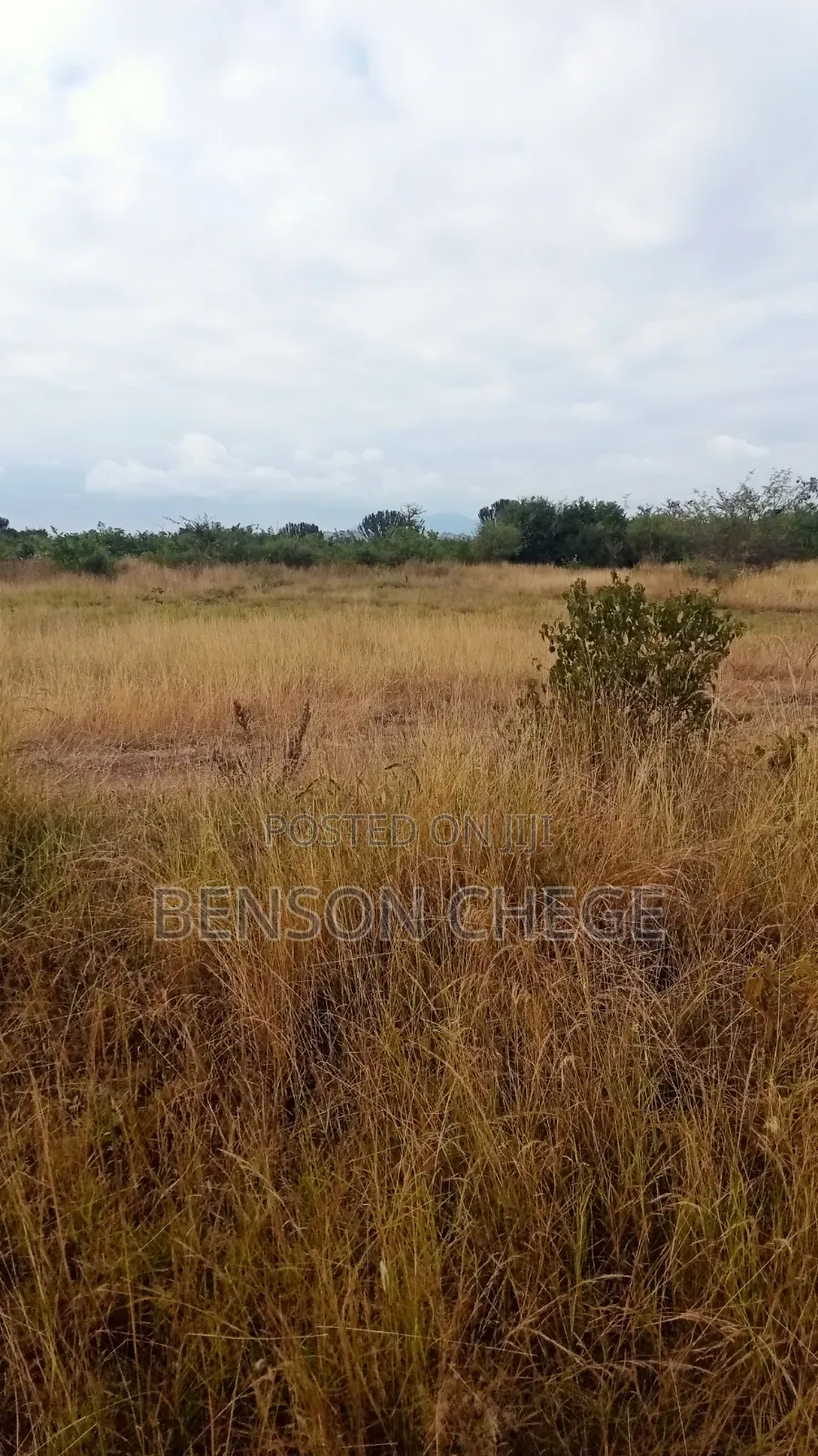 3 Acre Land for Sale in Maragua Ridge in Kambiti