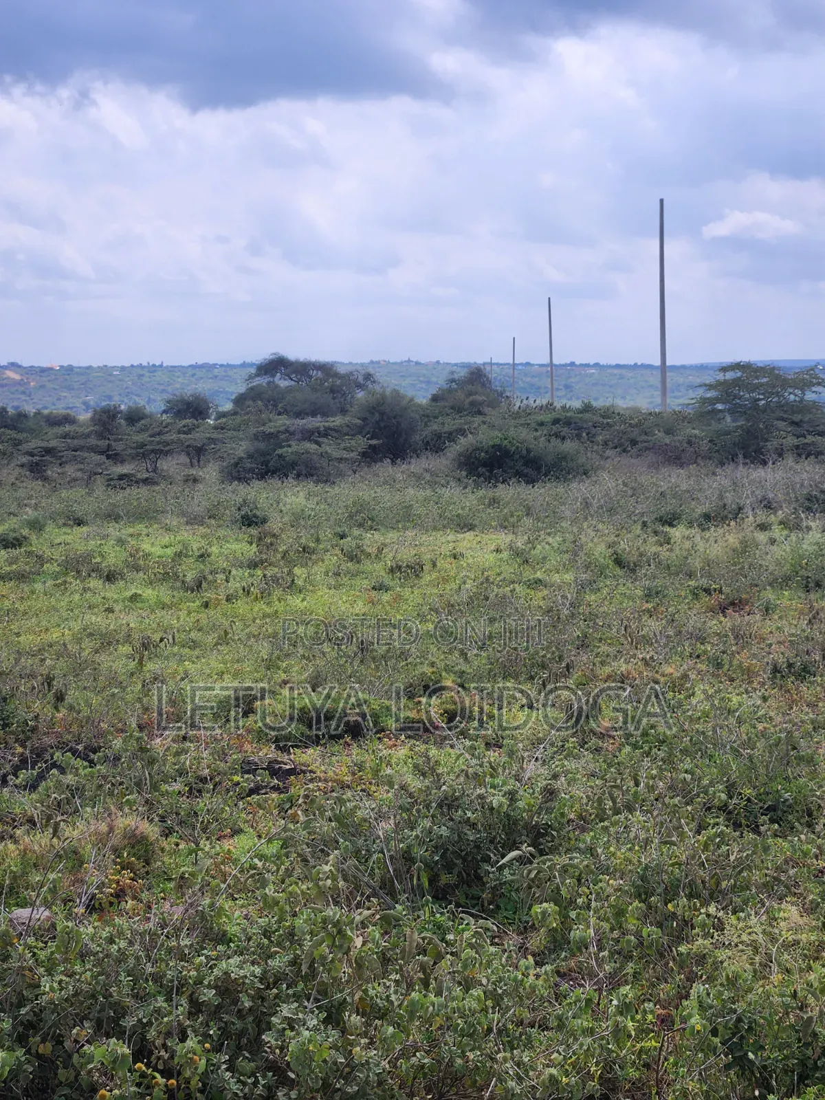 49 Acres Ngong-Kisamis, Off Magadi Road in Kiserian