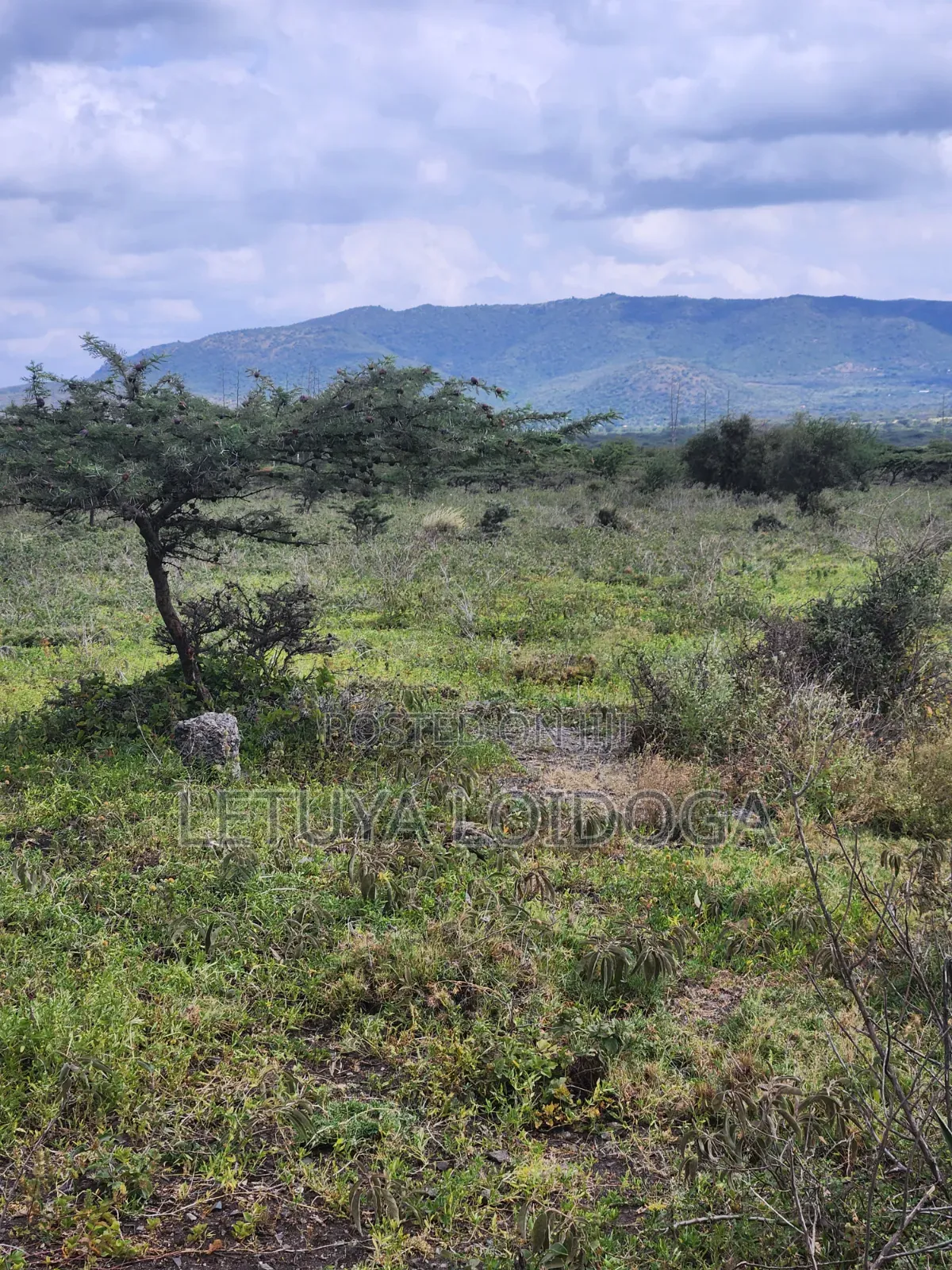 49 Acres Ngong-Kisamis, Off Magadi Road in Kiserian