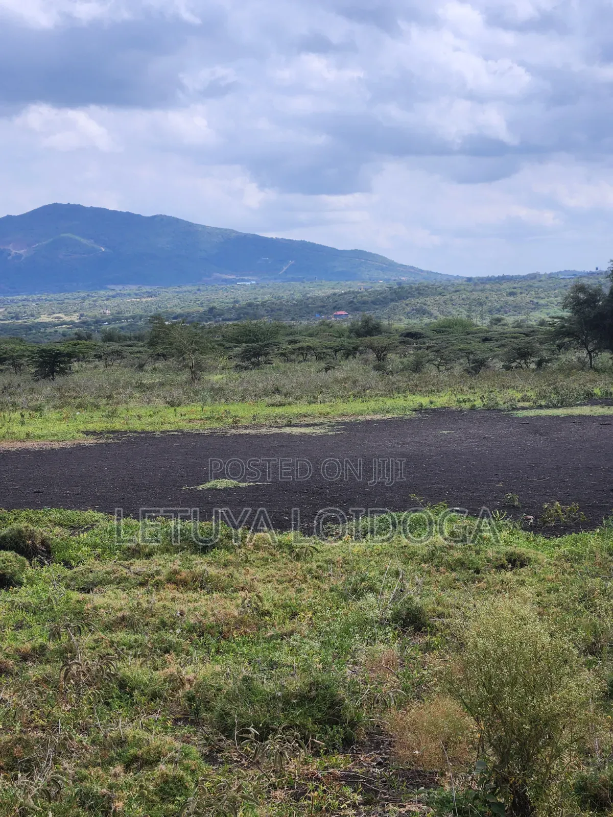 49 Acres Ngong-Kisamis, Off Magadi Road in Kiserian