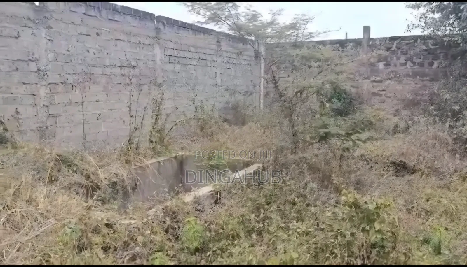 Selling 1.75 Acres in Thika Near Greatsa University in Nairobi Central