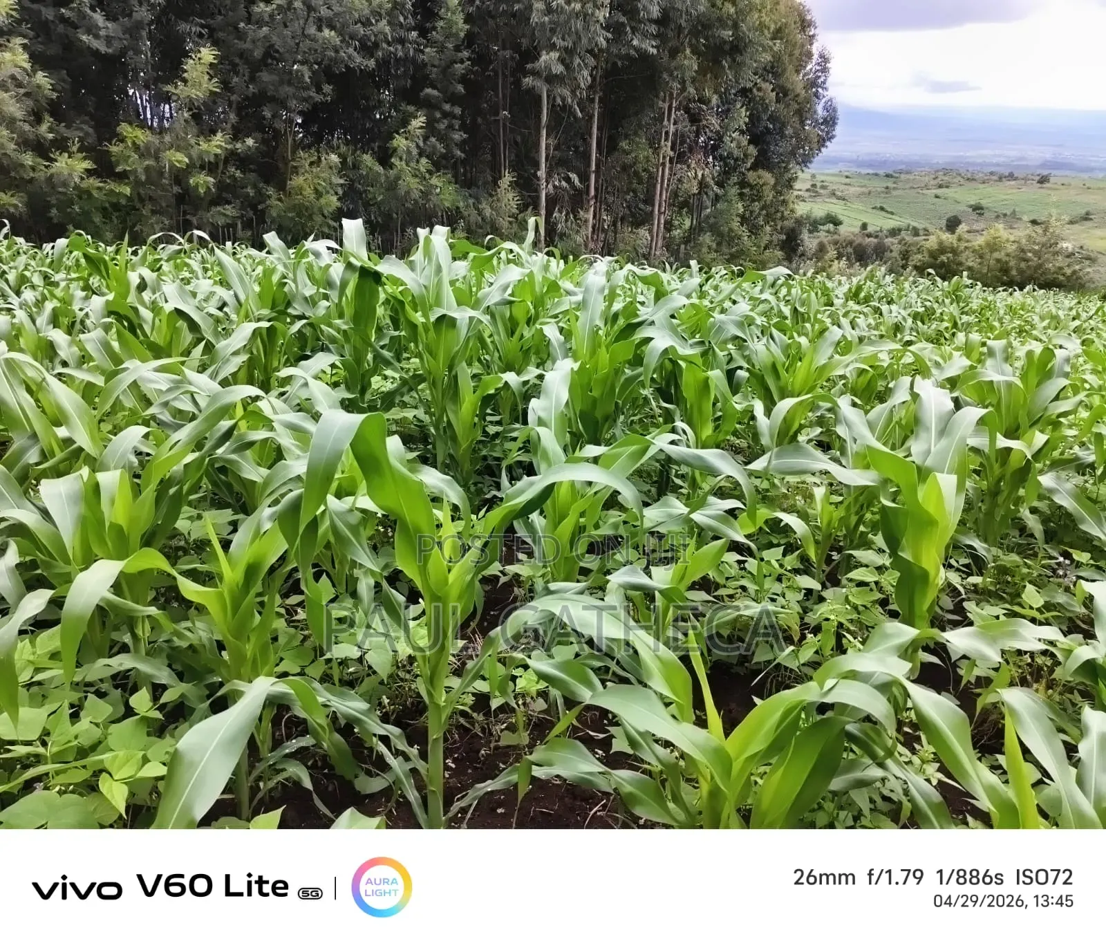 Land for Sale in Kipipiri