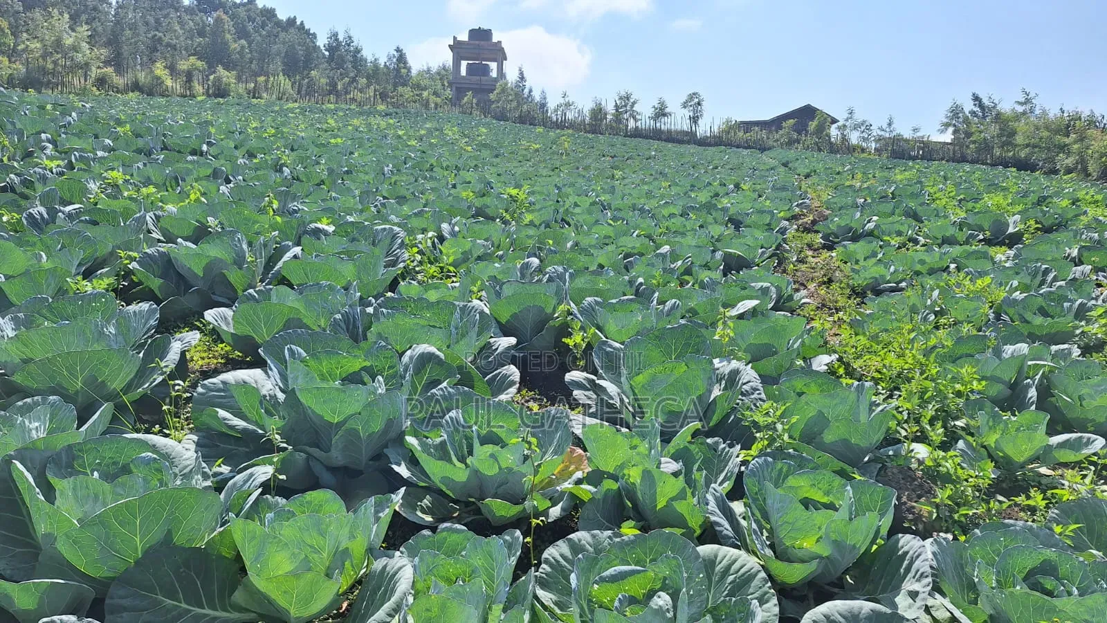 Land for Sale in Kipipiri
