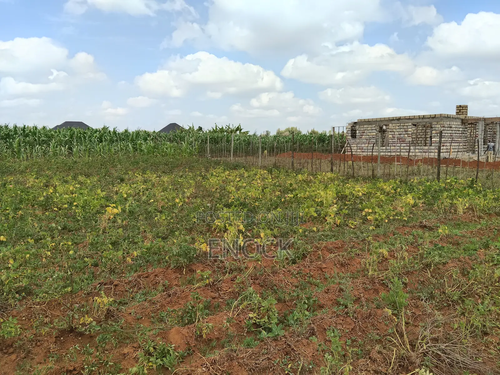 Prime Residential Plot in Chepkanga Chemaluk Near Terra in Kimumu