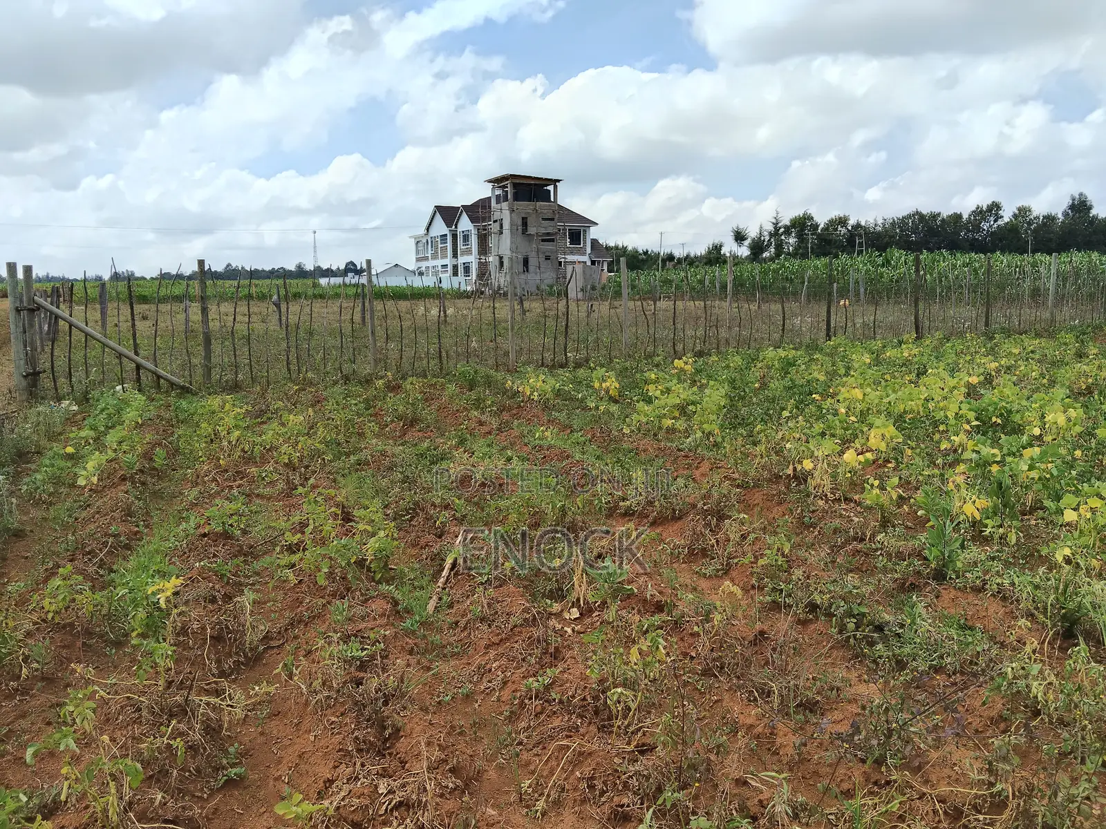 Prime Residential Plot in Chepkanga Chemaluk Near Terra in Kimumu