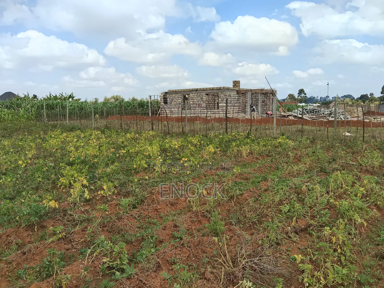 Prime Residential Plot in Chepkanga Chemaluk Near Terra in Kimumu