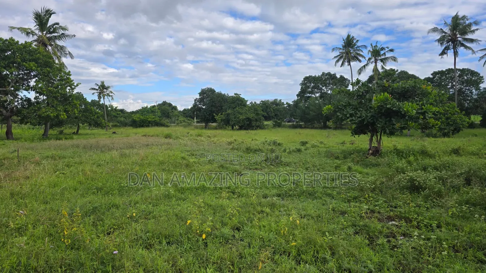 8 Plots of 50 by 100 Along Msa Malindi Highway at Gede for Sale in Gede