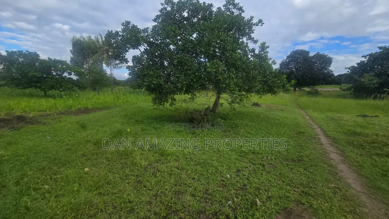8 Plots of 50 by 100 Along Msa Malindi Highway at Gede for Sale in Gede