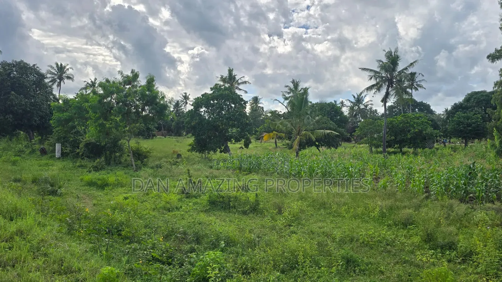 8 Plots of 50 by 100 Along Msa Malindi Highway at Gede for Sale in Gede
