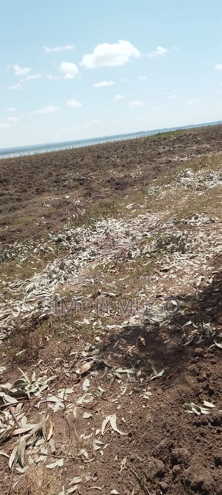 Olkalou Prime 5.25 Acres Near Lake Olbolsat Ideal for Horticulture in Central Ndaragwa