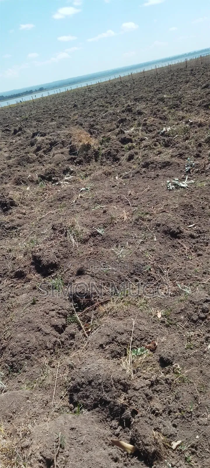Olkalou Prime 5.25 Acres Near Lake Olbolsat Ideal for Horticulture in Central Ndaragwa