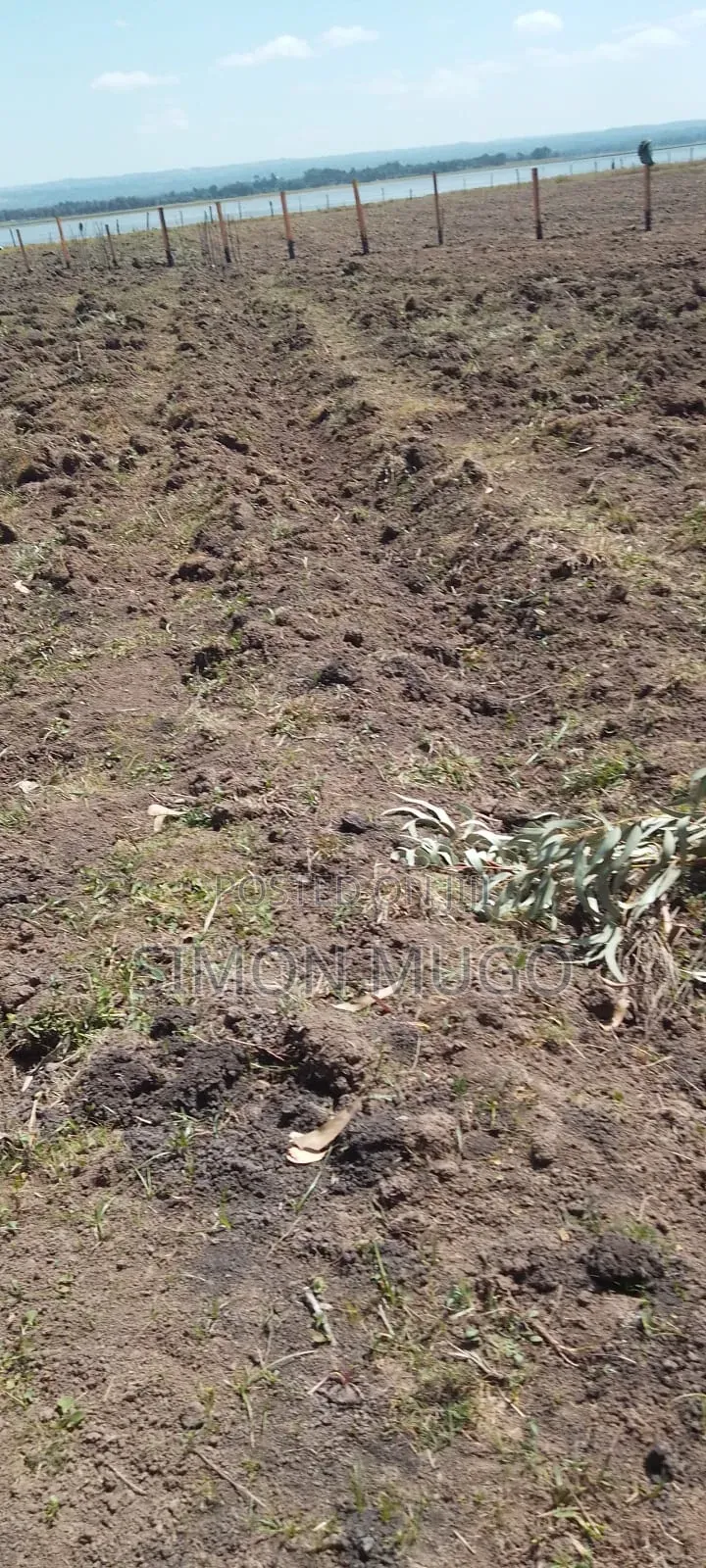 Olkalou Prime 5.25 Acres Near Lake Olbolsat Ideal for Horticulture in Central Ndaragwa