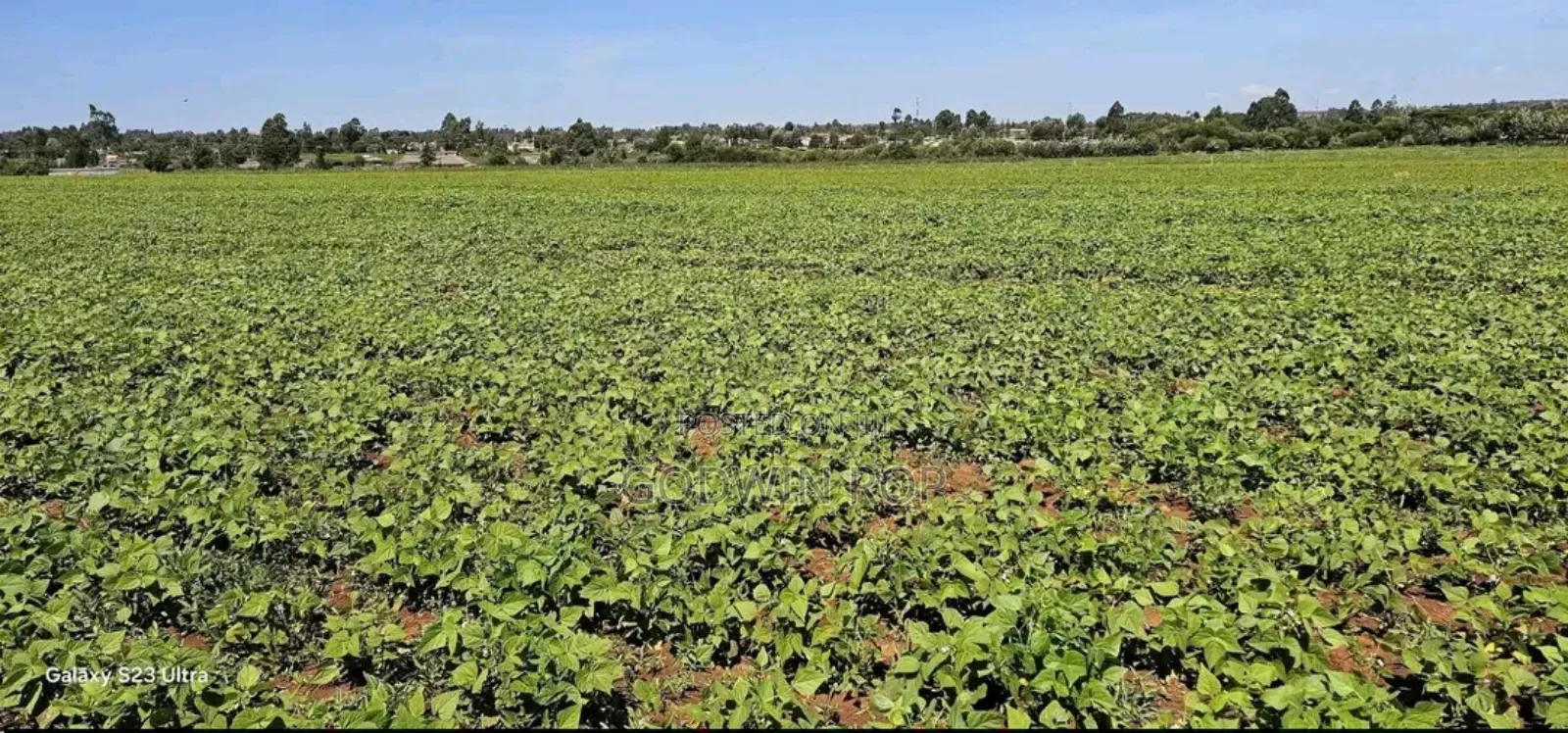 Commercial/Residential Plots for Sale in Marura Eldoret in Sergoit