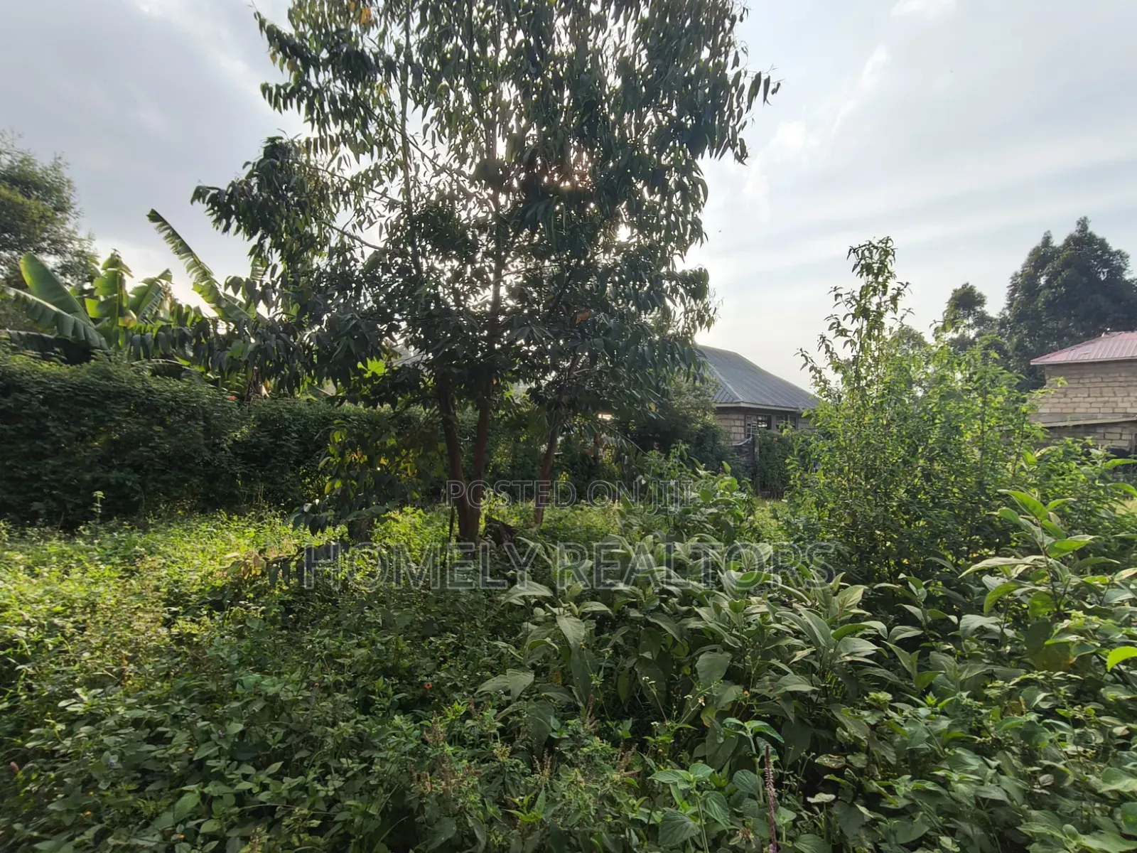 Residential Eighth Acre Plot for Sale in Kikuyu, Ondiri Area in Nderi