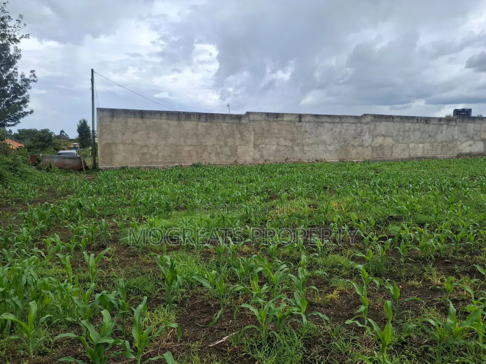 1/4 Acre Plots for Sale at Mercy Njeri Nakuru in Kiamunyi