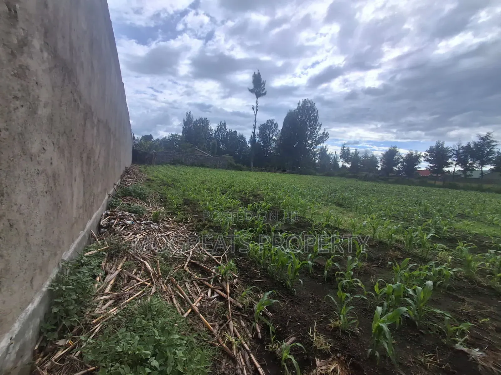 1/4 Acre Plots for Sale at Mercy Njeri Nakuru in Kiamunyi