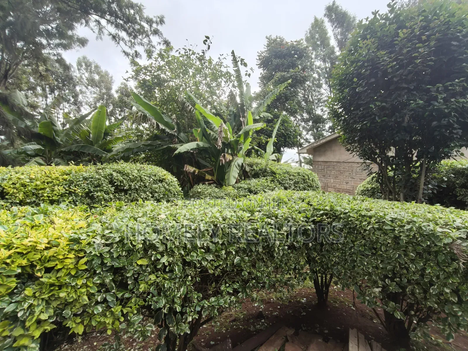 Quarter Acre Plot With a 3-Bedroomed House for Sale in Ngong Town in Ngong CBD