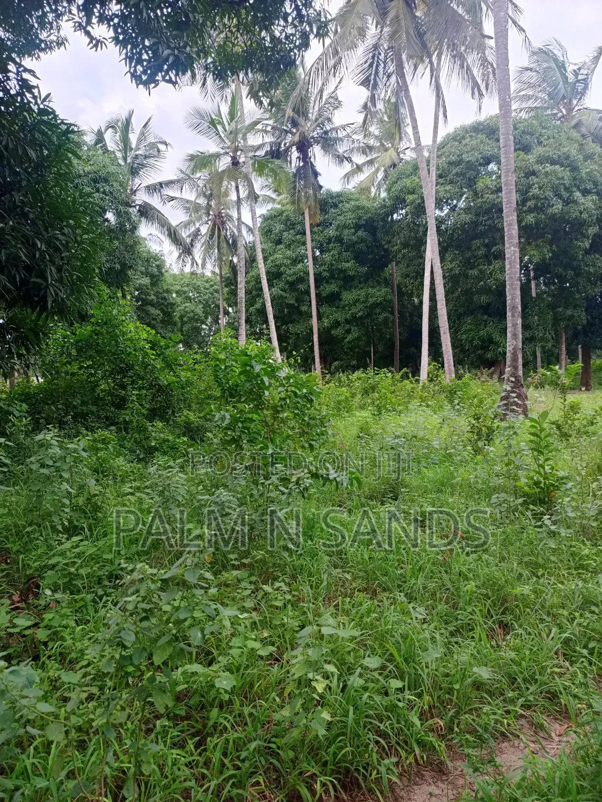 One Acre in Mwabungo Area of Diani on Sale! in Diani