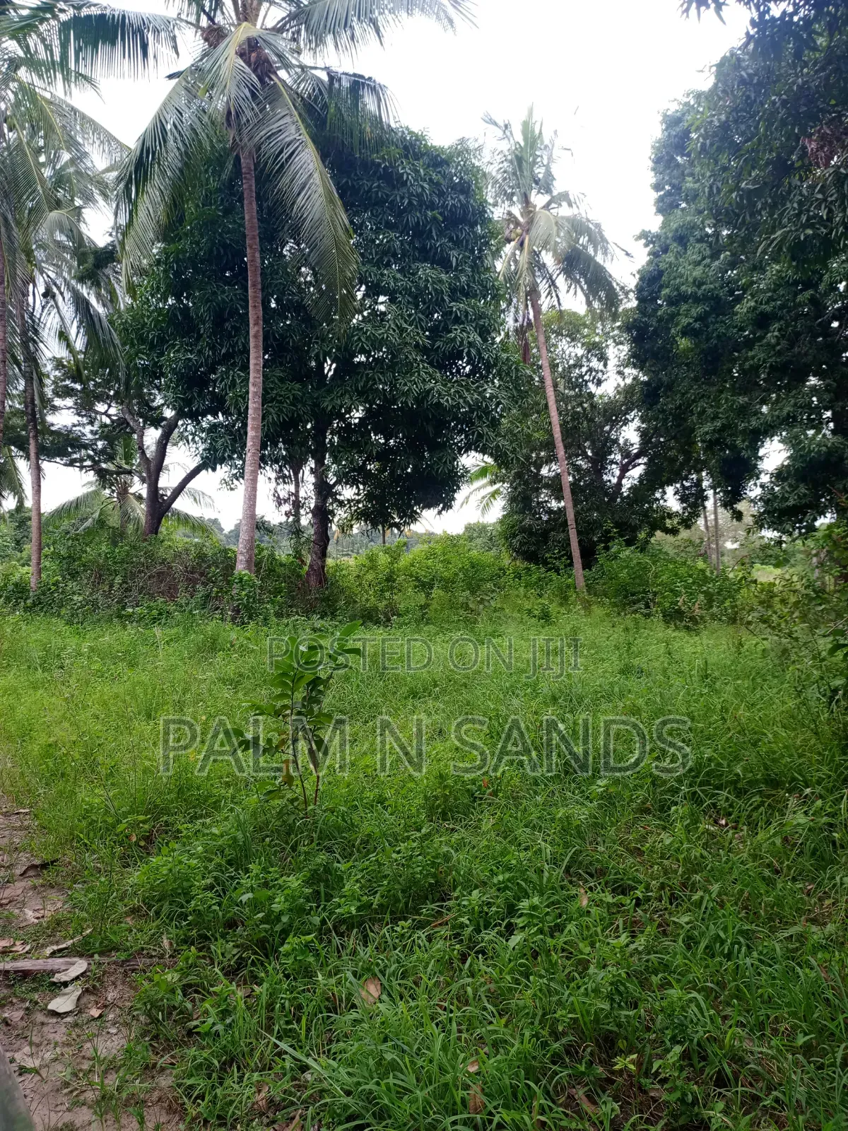 One Acre in Mwabungo Area of Diani on Sale! in Diani