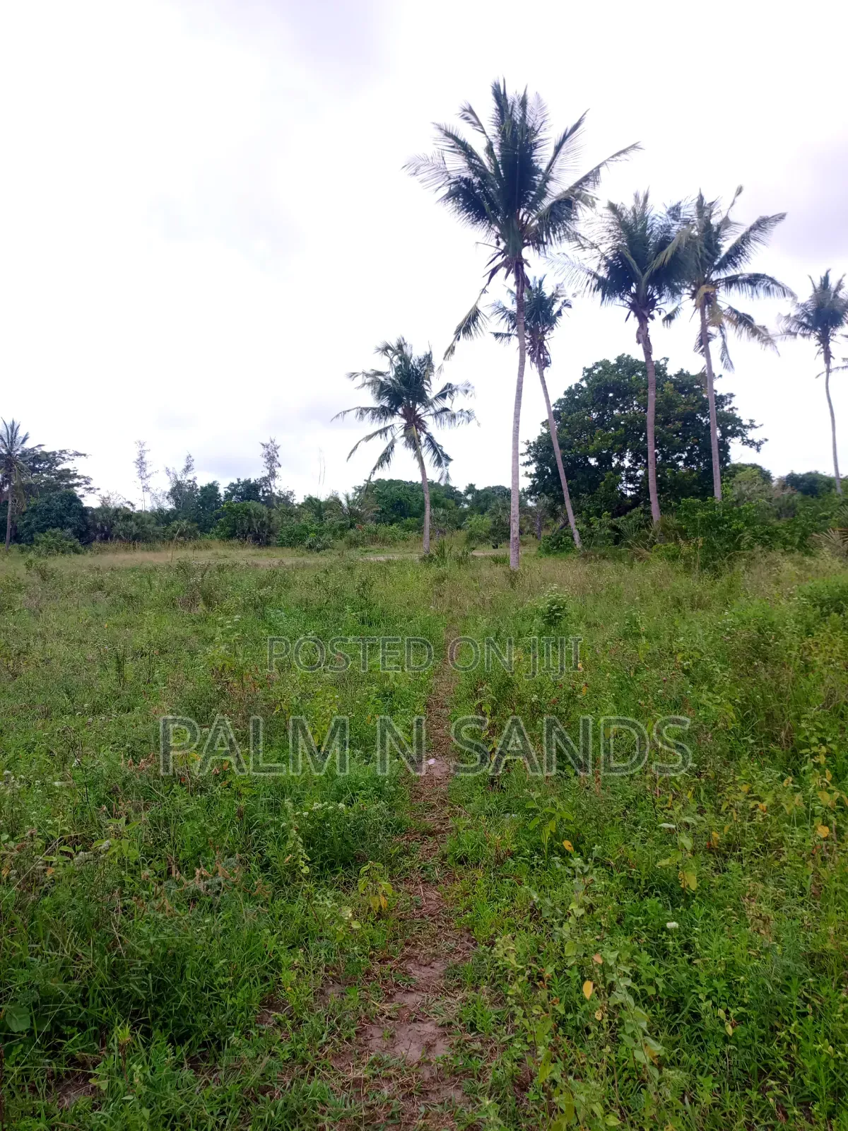 One Acre in Mwabungo Area of Diani on Sale! in Diani