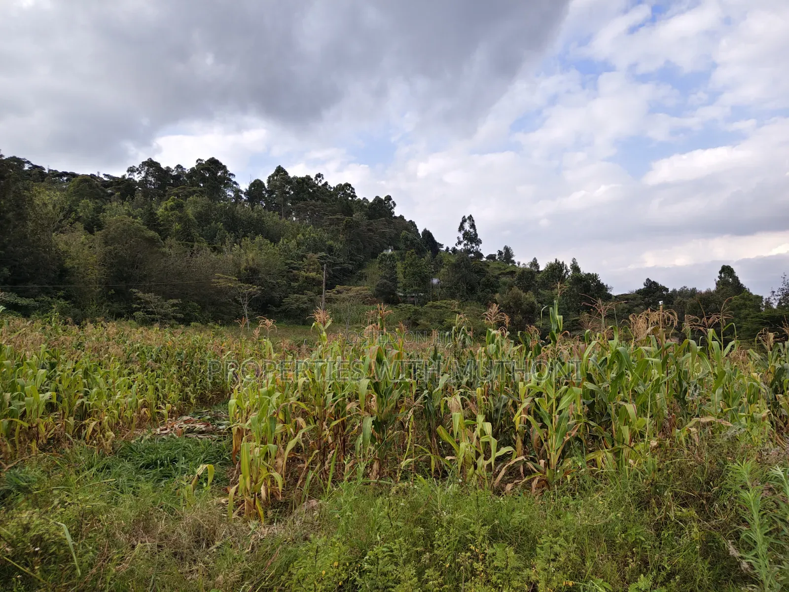 50×100 Plots for Sale in Kiserian. in Kiserian