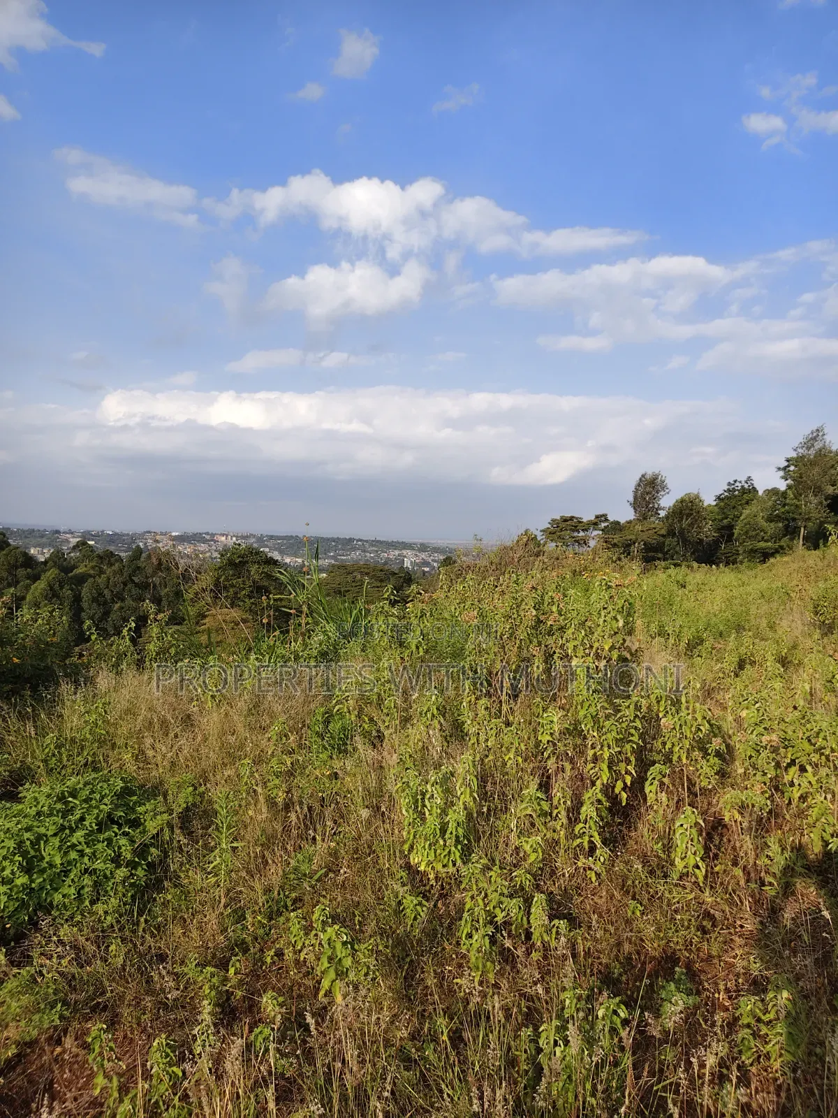 50×100 Plots for Sale in Kiserian. in Kiserian