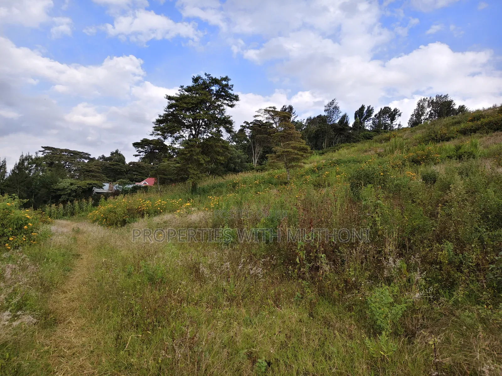 50×100 Plots for Sale in Kiserian. in Kiserian