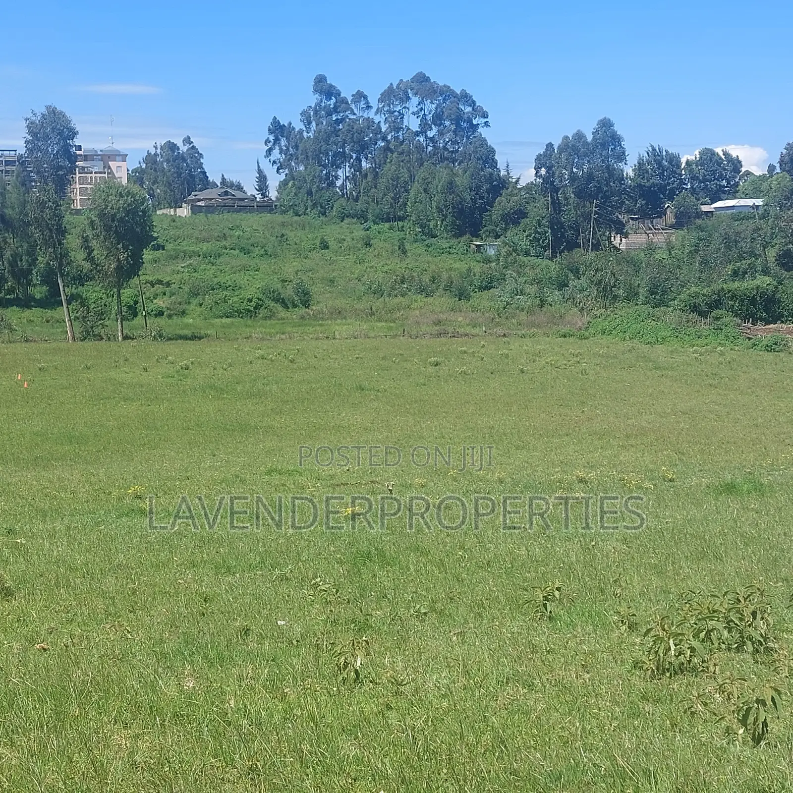 4bdrm Townhouse / Terrace in Plaza Yard, Zambezi/Sigona for rent in Zambezi/Sigona
