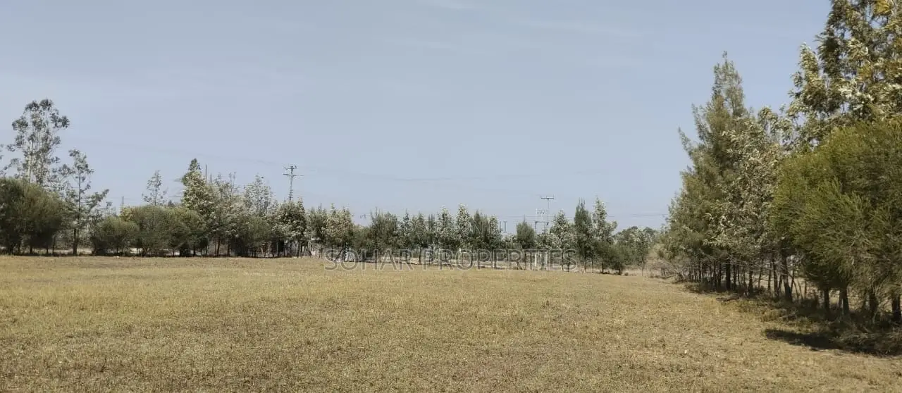 Kitengela, Acacia - One Acre Prime Land on Sale in Kitengela