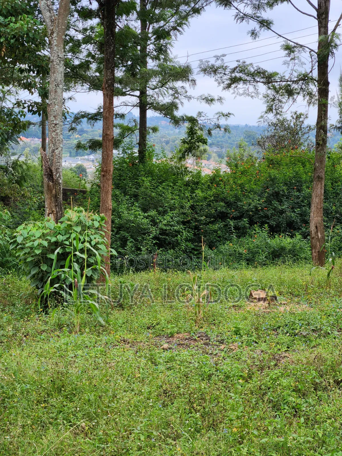 69x103 Plots on Sale Ngong-Olkeri in Ol Keri
