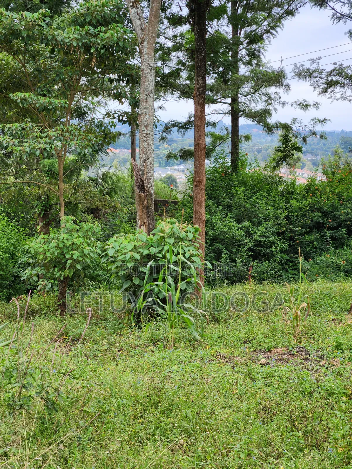 69x103 Plots on Sale Ngong-Olkeri in Ol Keri