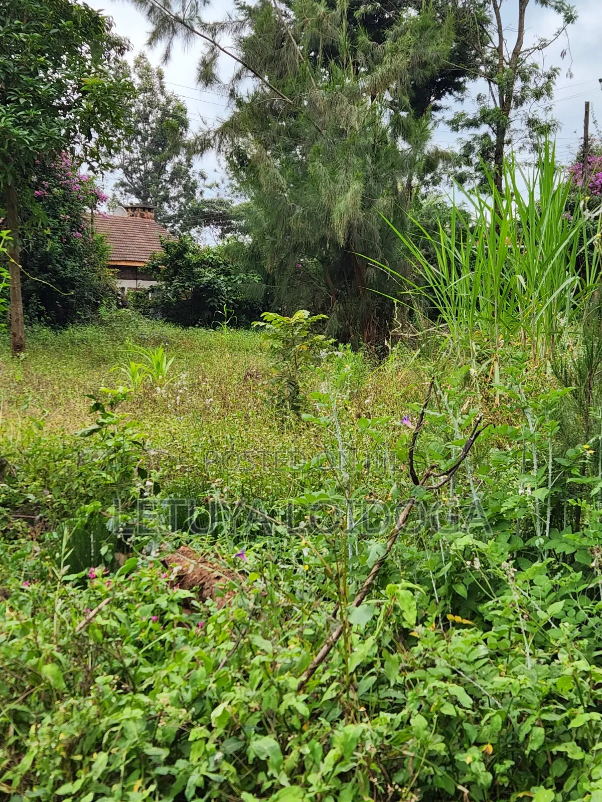 69x103 Plots on Sale Ngong-Olkeri in Ol Keri