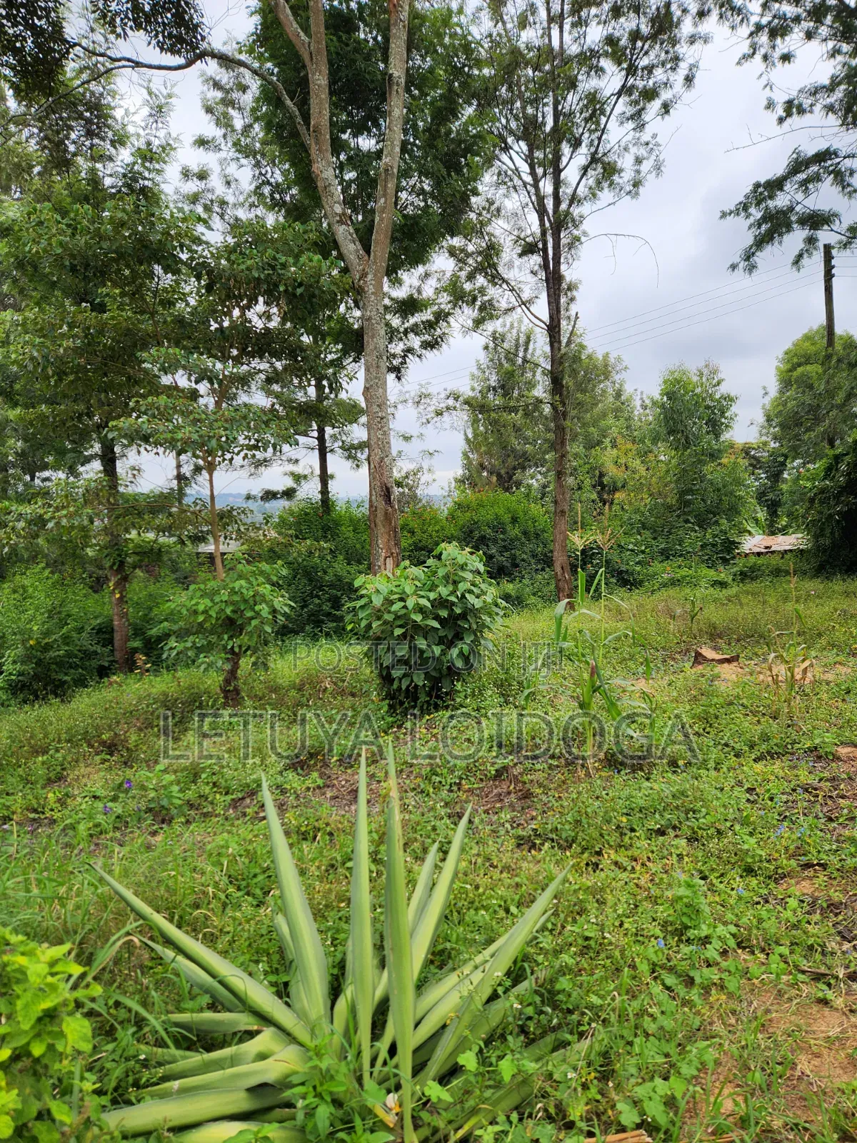 69x103 Plots on Sale Ngong-Olkeri in Ol Keri