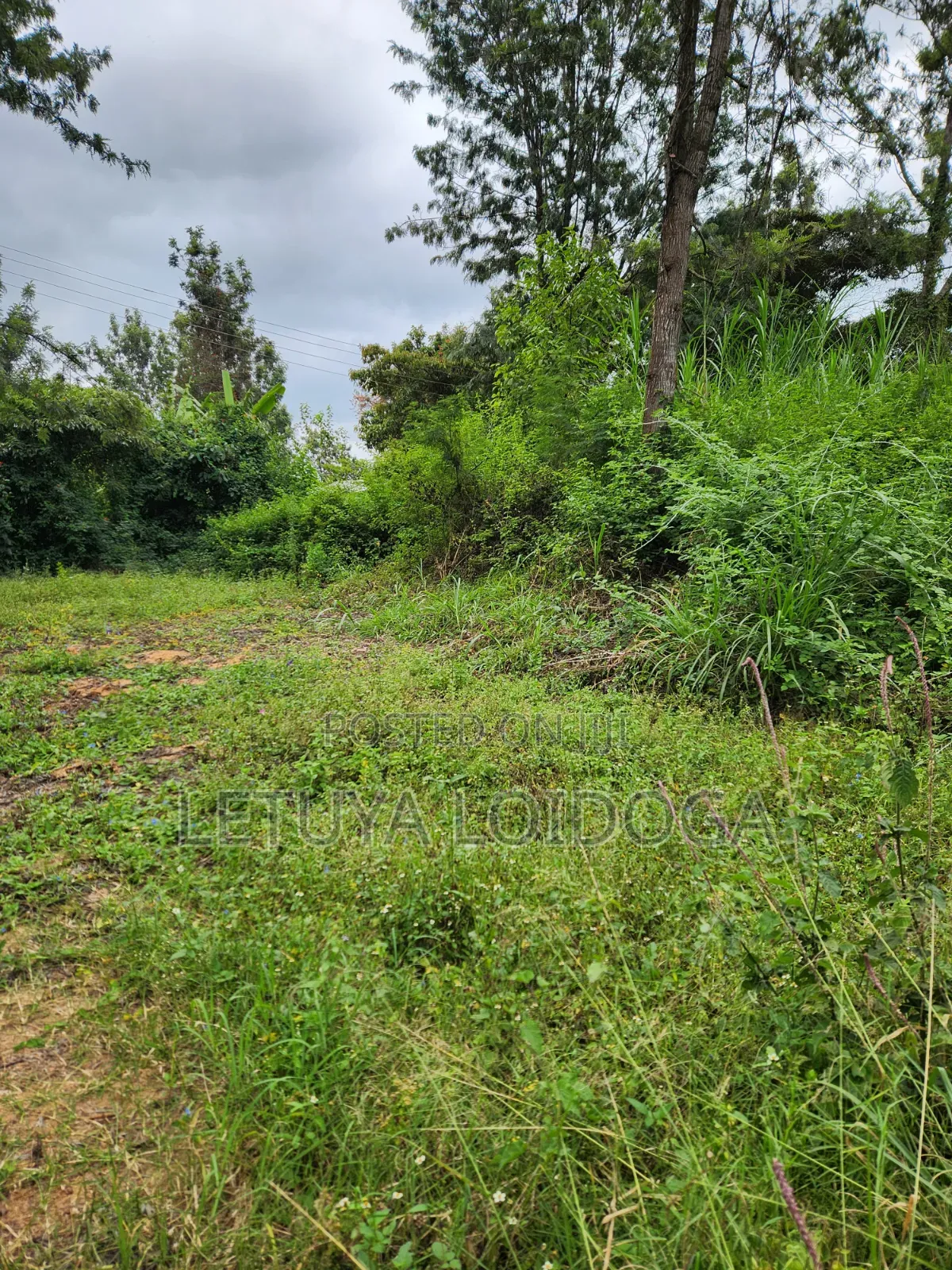 69x103 Plots on Sale Ngong-Olkeri in Ol Keri