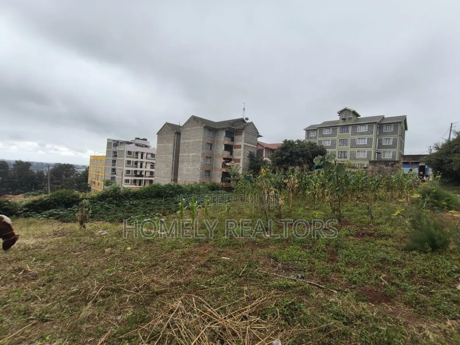 Commercial Eighth Acre Plot for Sale in Ngong CBD Touching Tarmac in Ngong CBD