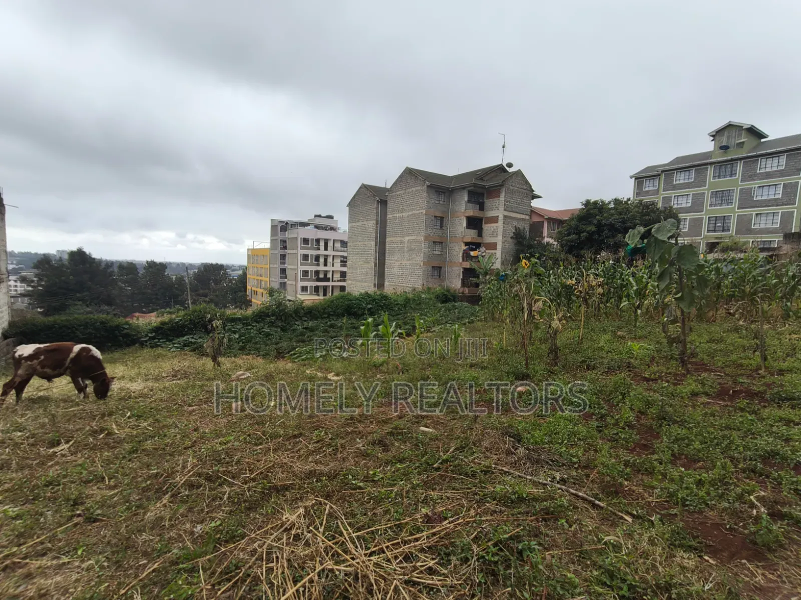 Commercial Eighth Acre Plot for Sale in Ngong CBD Touching Tarmac in Ngong CBD