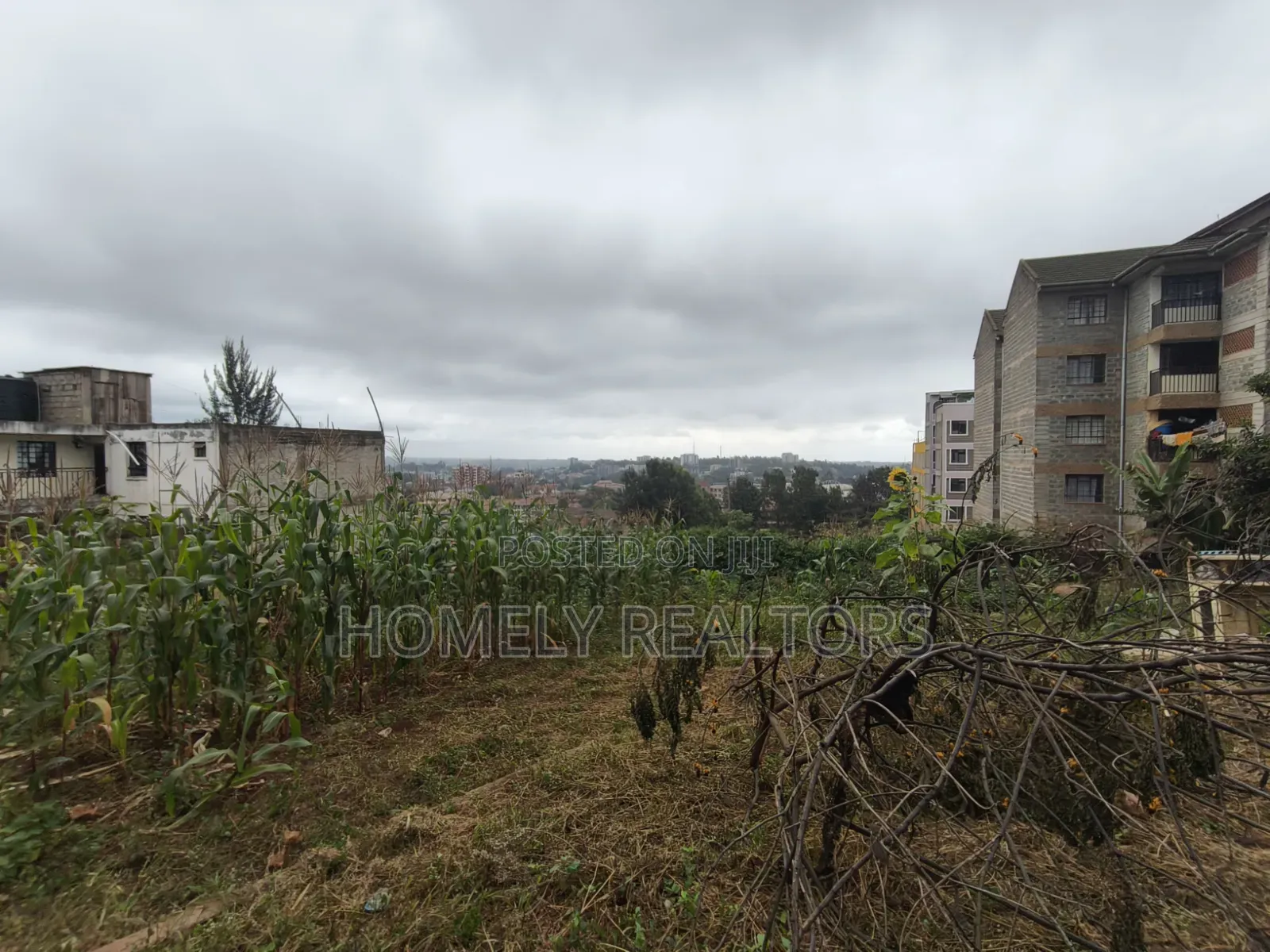 Commercial Eighth Acre Plot for Sale in Ngong CBD Touching Tarmac in Ngong CBD
