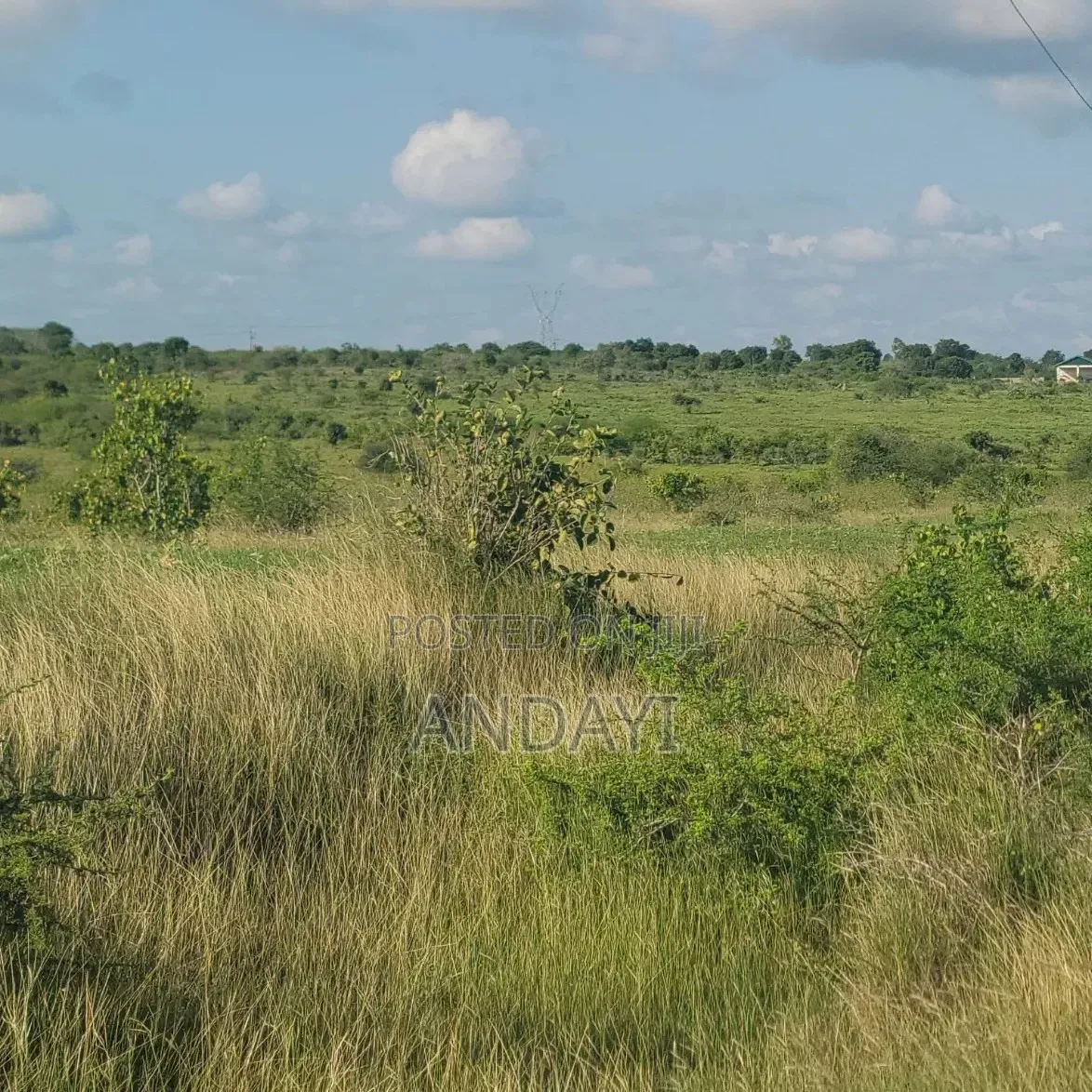 1000 Acre for Sale in Malindi, Adu in Adu