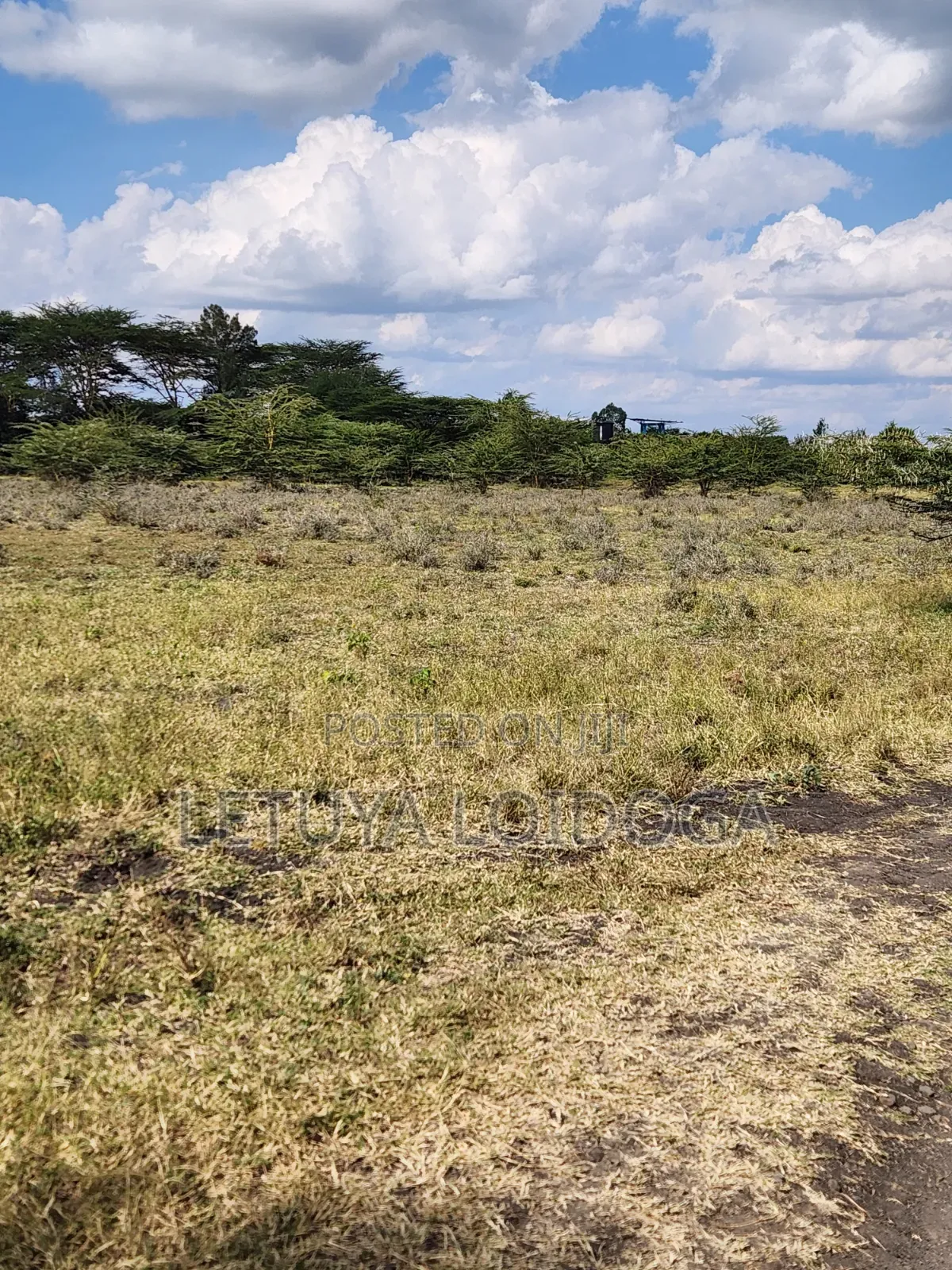 5 Acres Birika(Olooloitikoshi) Isinya-Kiserian Road in Kiserian