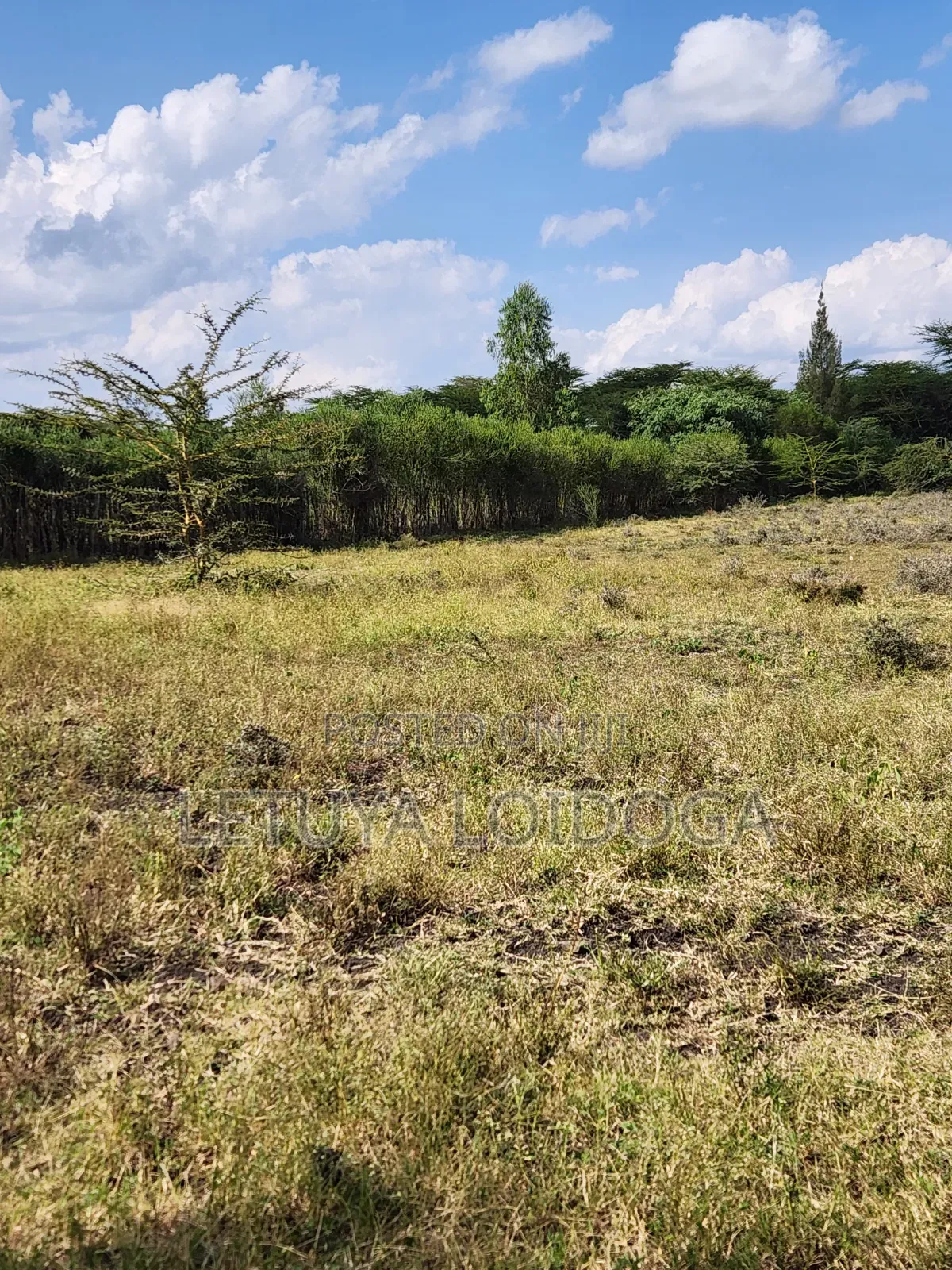 5 Acres Birika(Olooloitikoshi) Isinya-Kiserian Road in Kiserian