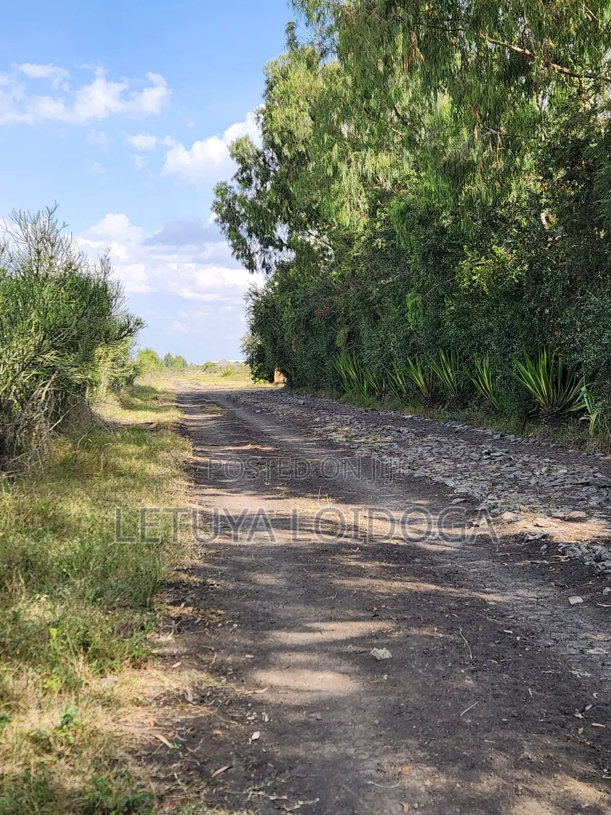 5 Acres Birika(Olooloitikoshi) Isinya-Kiserian Road in Kiserian