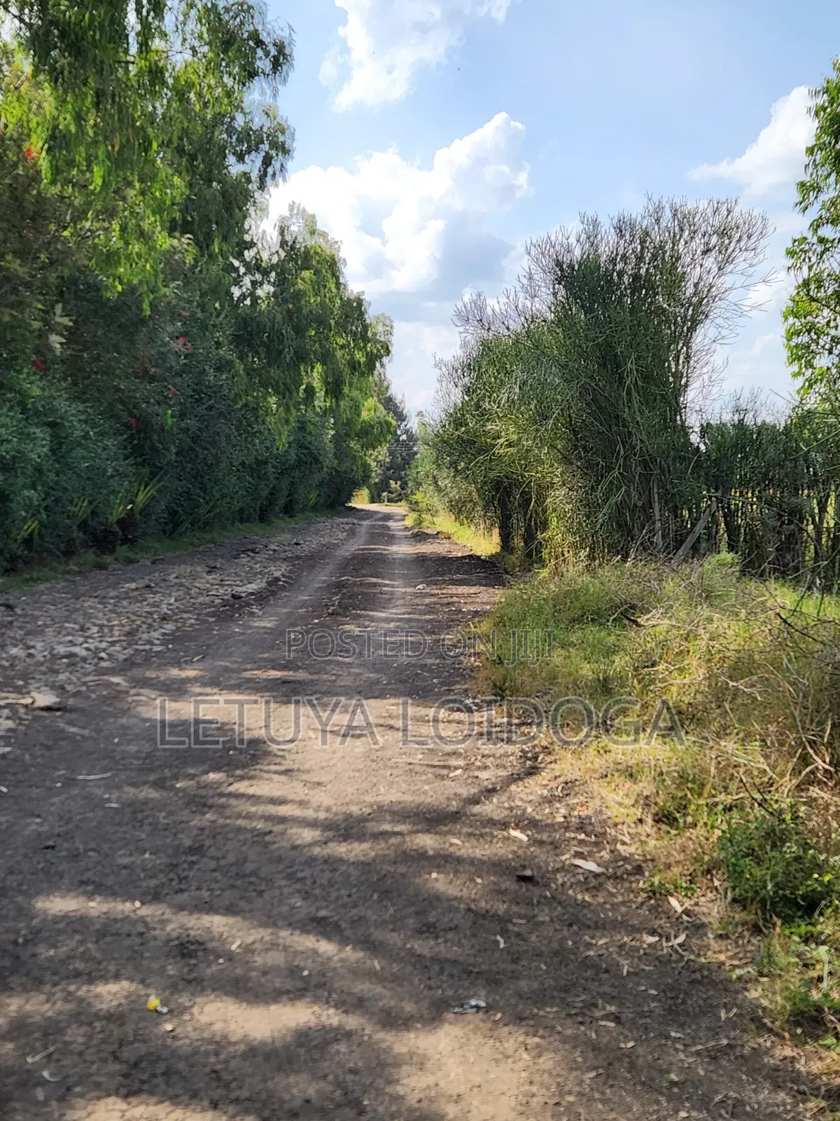 5 Acres Birika(Olooloitikoshi) Isinya-Kiserian Road in Kiserian