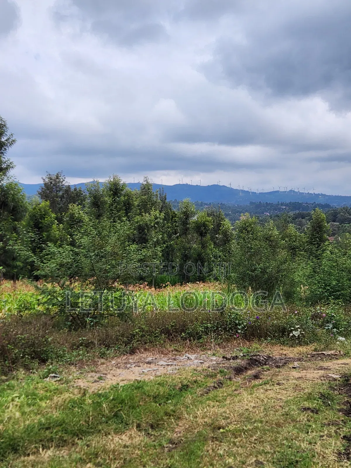 1⁄4 Acre Plots Ngong-Olkeri in Ol Keri