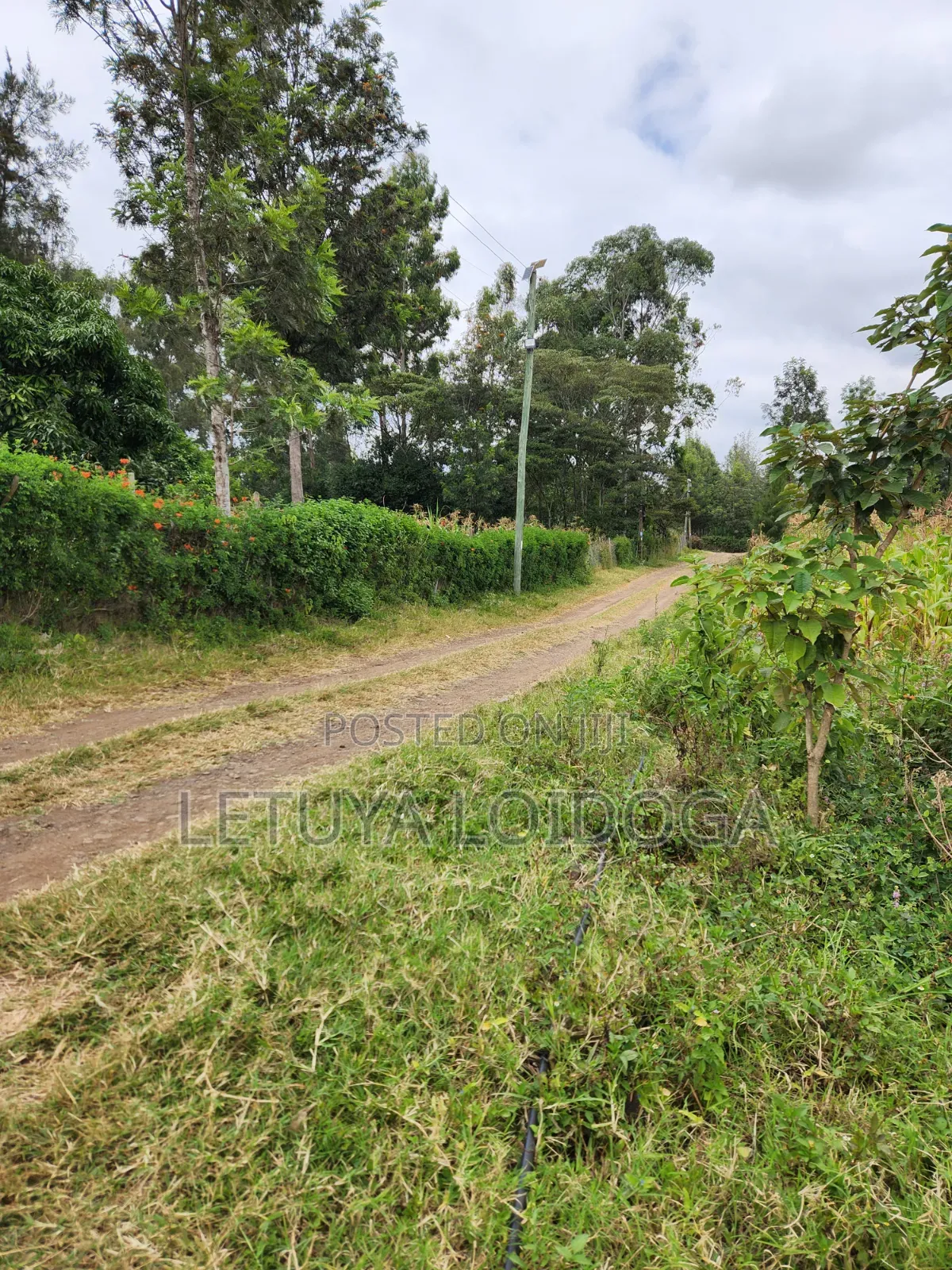 1⁄4 Acre Plots Ngong-Olkeri in Ol Keri