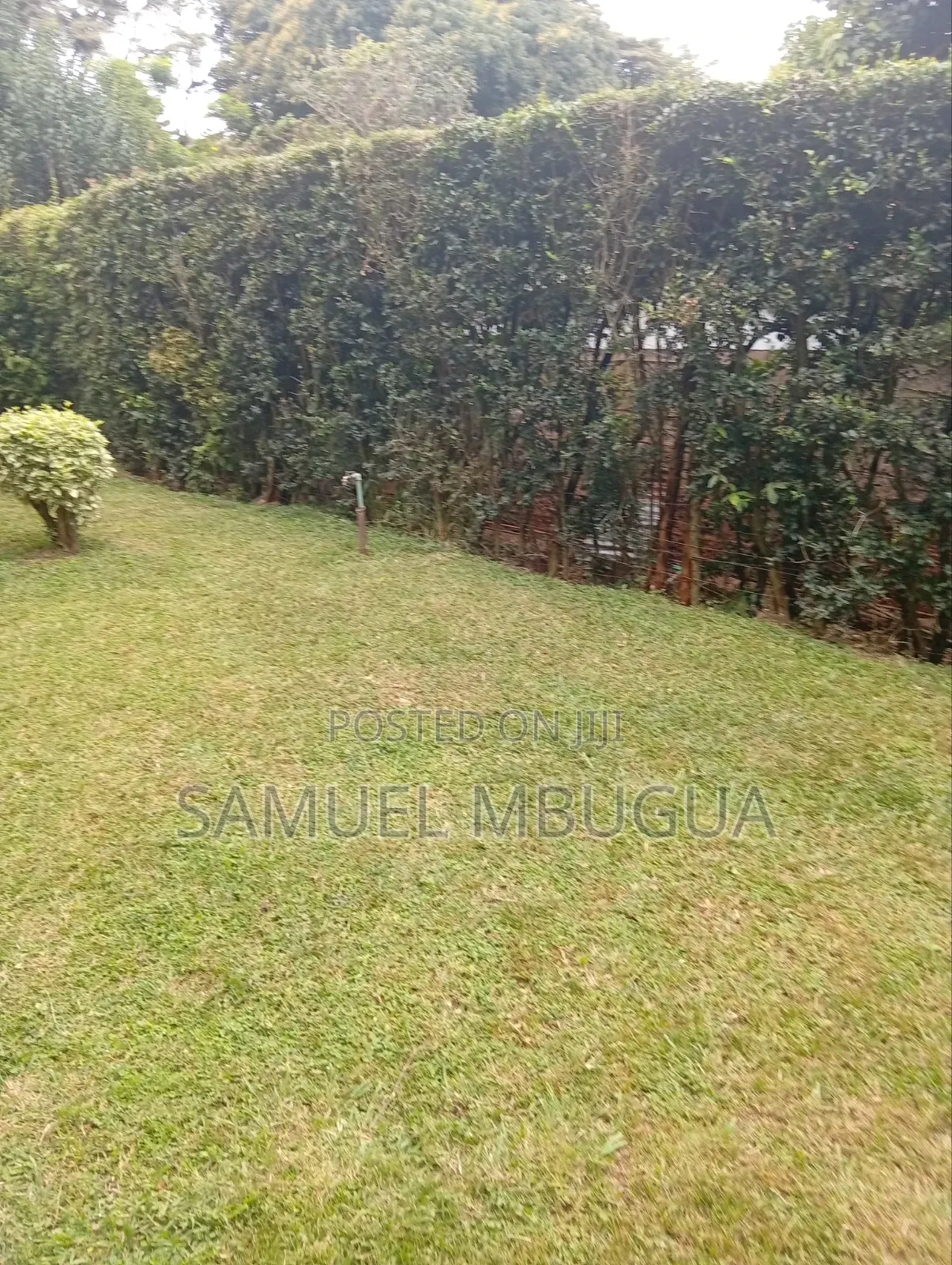3bdrm Bungalow in Karen for rent in Karen