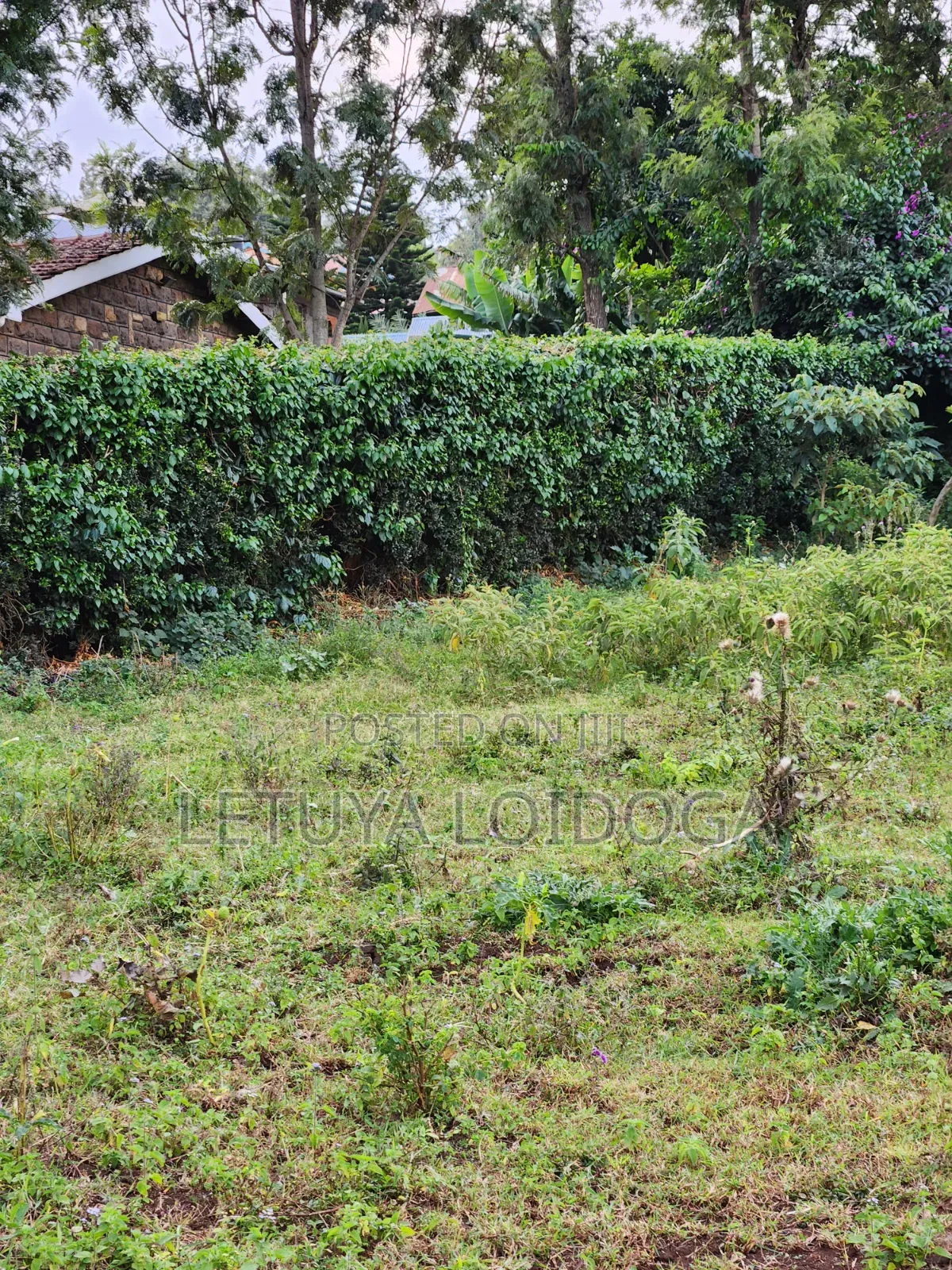 3⁄8(150x100) Acre Plots, Ngong-Oloolua in Oluulua