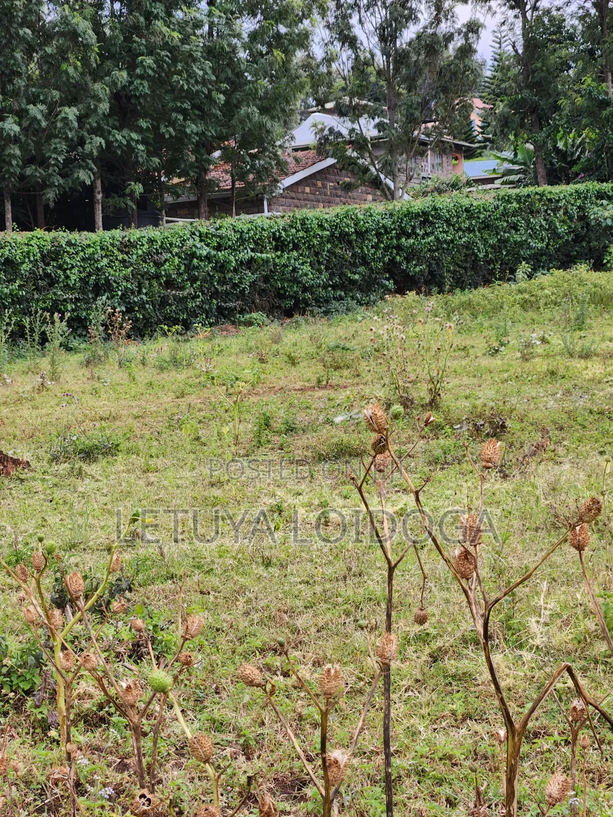 3⁄8(150x100) Acre Plots, Ngong-Oloolua in Oluulua